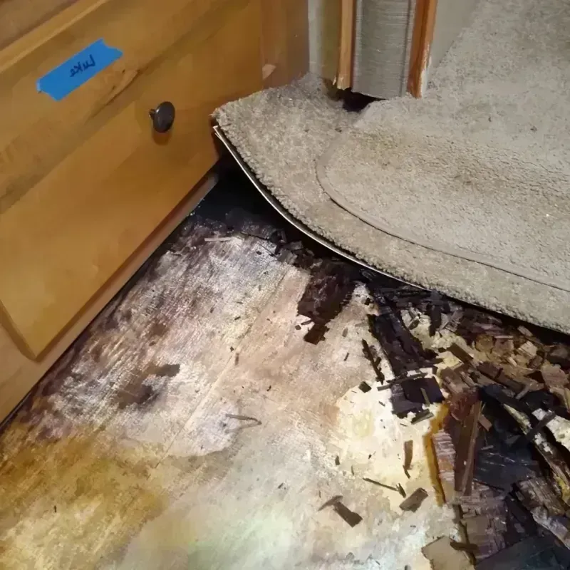 Wood Floor Water Damage in Hillcrest Heights, MD